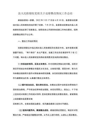县人民检察院党组关于巡察整改情况工作总结.docx