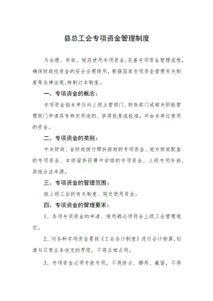 县总工会专项资金管理制度.docx