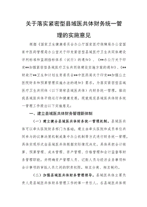 医疗健康服务集团关于落实紧密型县域医共体财务统一管理的实施意见.docx