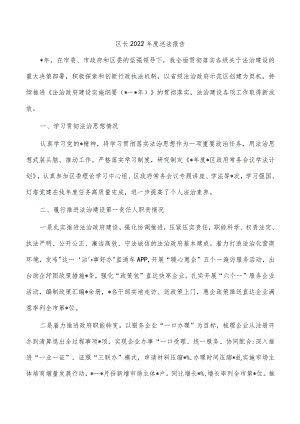 区长2022年度述法报告.docx