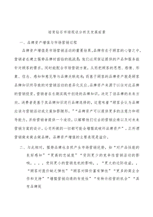 培育钻石市场现状分析及发展前景.docx