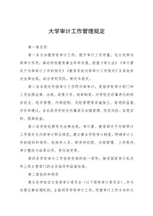 大学审计工作管理规定.docx