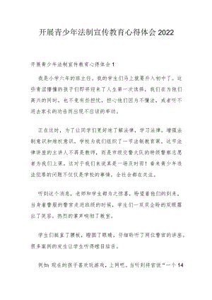 开展青少年法制宣传教育心得体会2022.docx