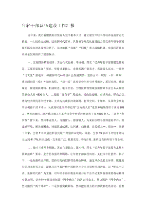 年轻干部队伍建设工作汇报.docx