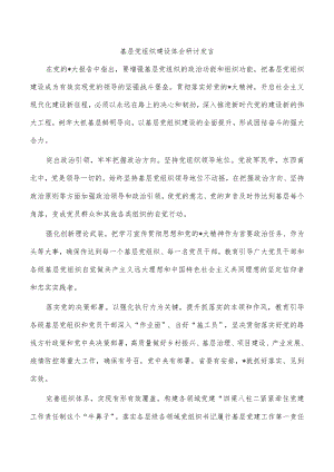基层党组织建设体会研讨发言.docx