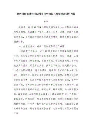 壮大村级集体经济助推乡村全面振兴典型经验材料两篇.docx