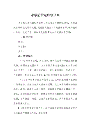 小学防雷电应急预案.docx
