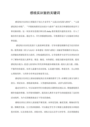 感统实训室的关键词.docx