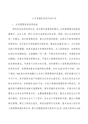 大中型灌区改造行动计划.docx
