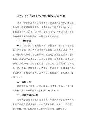 政务公开专项工作目标考核实施方案.docx