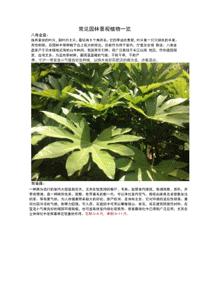 常见园林景观植物一览.docx