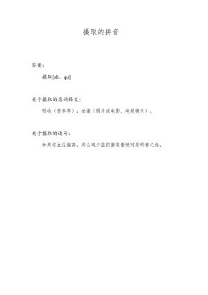 摄取的拼音.docx