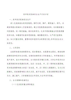 抓牢抓实抓细安全生产行动计划.docx