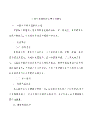 打造中国药都新品牌行动计划.docx