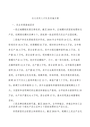 壮大农村人才队伍实施方案.docx