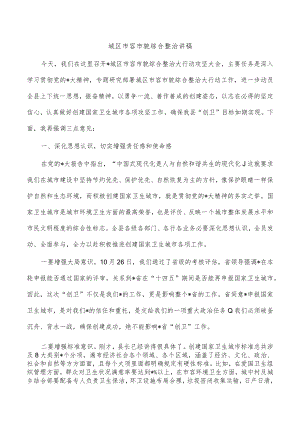 城区市容市貌综合整治讲稿.docx