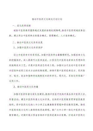 推动中医药文化转化行动计划.docx