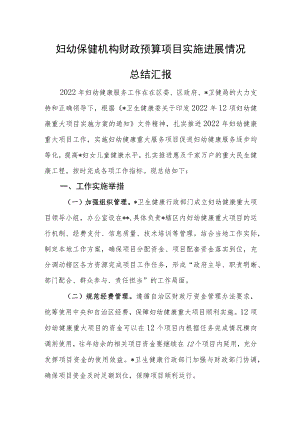 妇幼保健机构财政预算项目实施进展情况总结汇报.docx