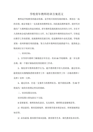 学校青年教师培训方案范文.docx