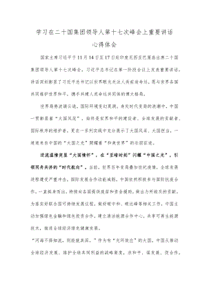 学习在二十国集团领导人第十七次峰会上重要讲话心得体会.docx