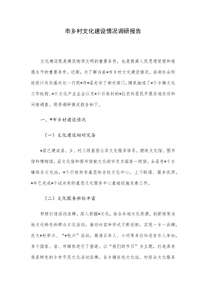 市乡村文化建设情况调研报告.docx