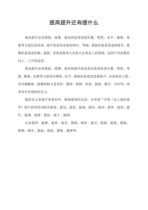 提高 提升还有提什么.docx