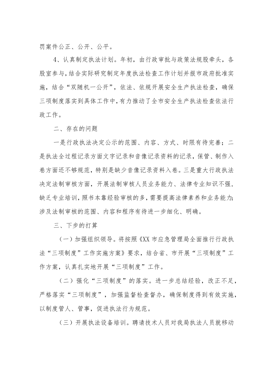 推行“三项制度”工作落实情况总结.docx_第2页