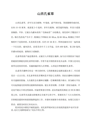 山西孔雀草.docx