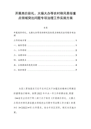开展高价彩礼、大操大办等农村移风易俗重点领域突出问题专项治理工作实施方案.docx