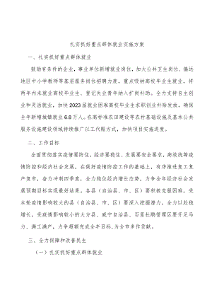 扎实抓好重点群体就业实施方案.docx