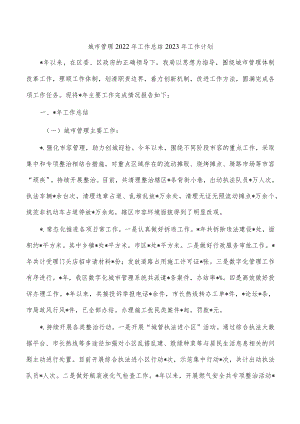 城市管理2022年总结2023年工作计划.docx