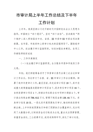 市审计局上半年工作总结及下半年工作计划.docx