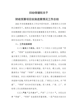 妇幼保健院关于妇幼重点项目实施进展情况总结汇报材料.docx