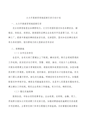 大力开展商贸领域招商引资行动计划.docx