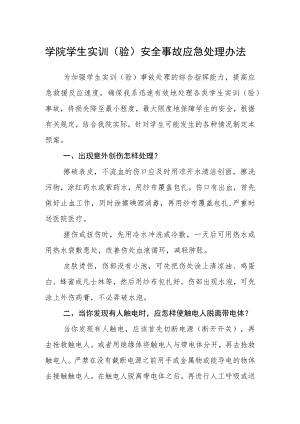 学院学生实训（验）安全事故应急处理办法.docx