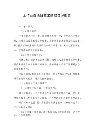工作经费项目支出绩效自评报告.docx