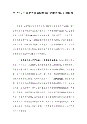 市“三无”船舶专项清理整治行动推进情况汇报材料.docx