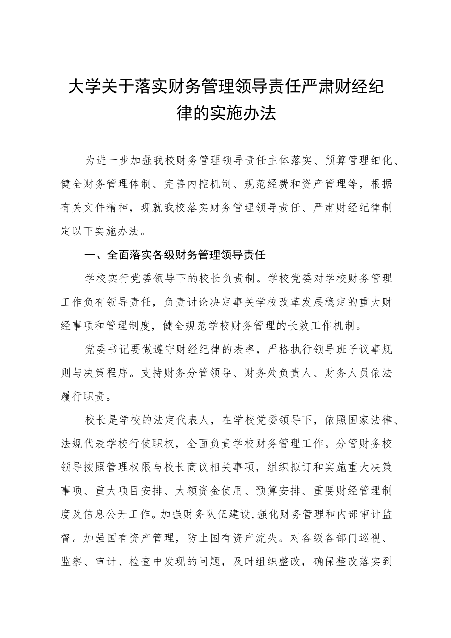 大学关于落实财务管理领导责任严肃财经纪律的实施办法.docx_第1页