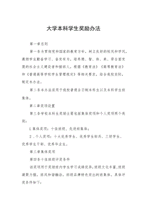 大学本科学生奖励办法.docx