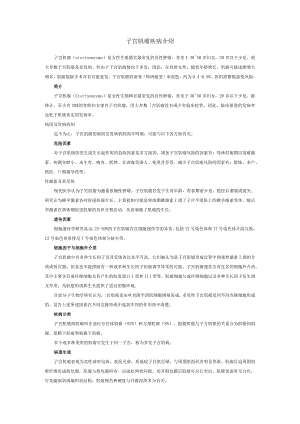 子宫肌瘤疾病介绍.docx