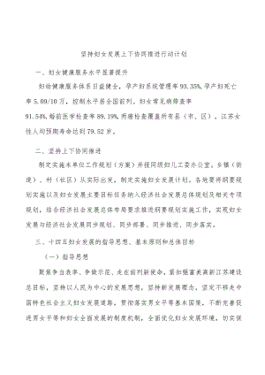 坚持妇女发展上下协同推进行动计划.docx
