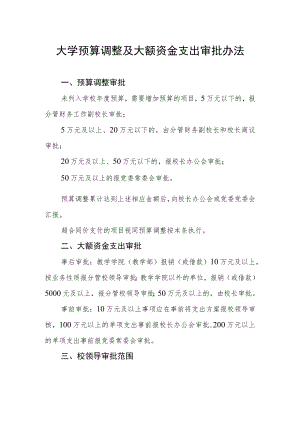 大学预算调整及大额资金支出审批办法.docx