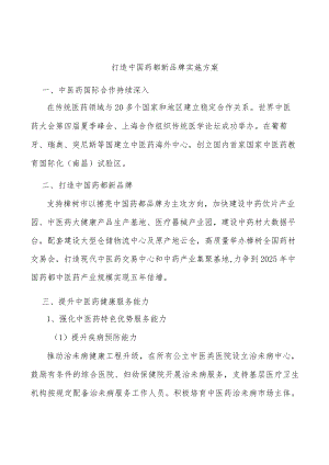打造中国药都新品牌实施方案.docx