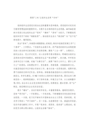 推动组织生活质效经验交流材料.docx