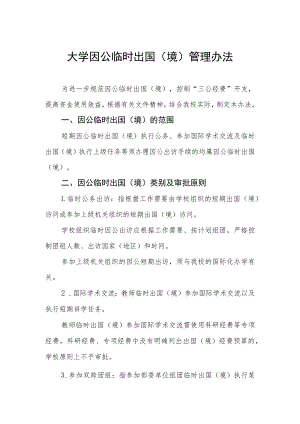 大学因公临时出国（境）管理办法.docx