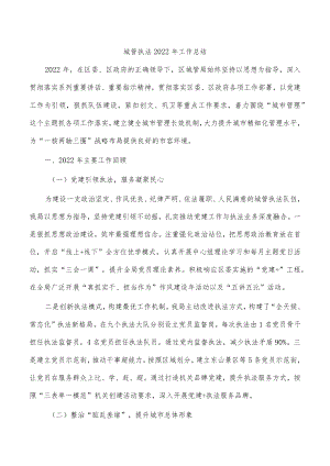 城管执法2022年工作总结.docx