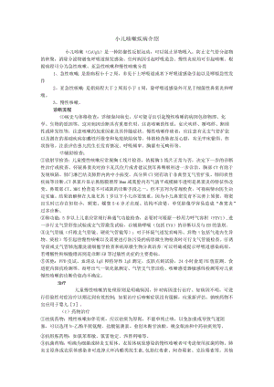 小儿咳嗽疾病介绍.docx