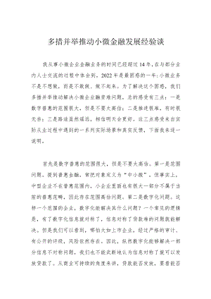 多措并举推动小微金融发展经验谈.docx