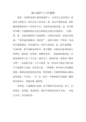 新入职护士工作感想.docx
