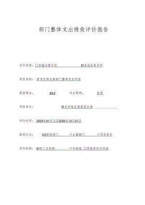 部门整体支出绩效评价报告.docx
